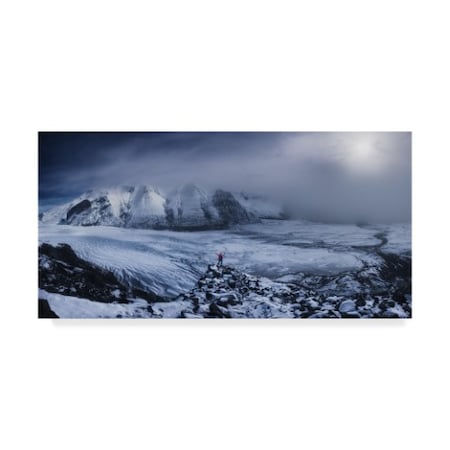 Carlos F Turienzo 'Wanderer Snow' Canvas Art,16x32